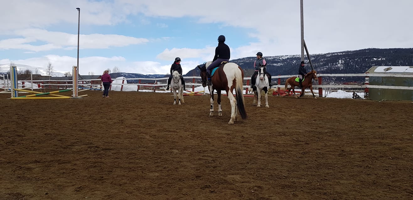 Fjellvang Stall Og 4H g rd 4hgard no
